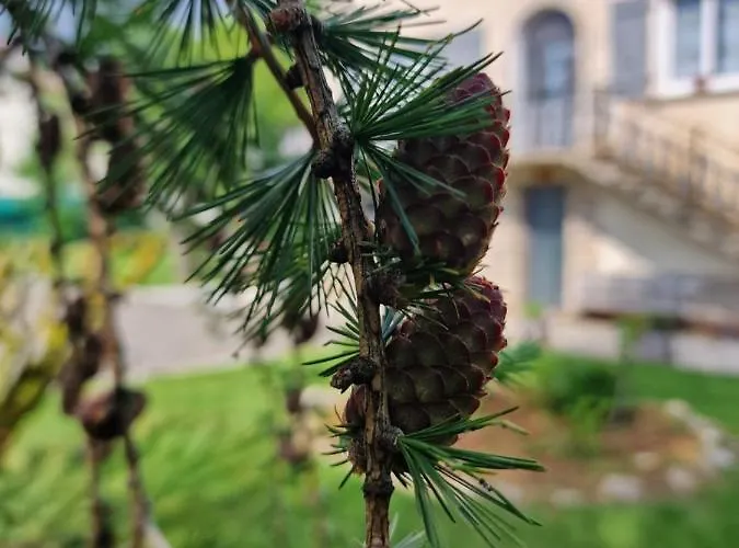 Bed & Breakfast D'hotes O Rendez-vous