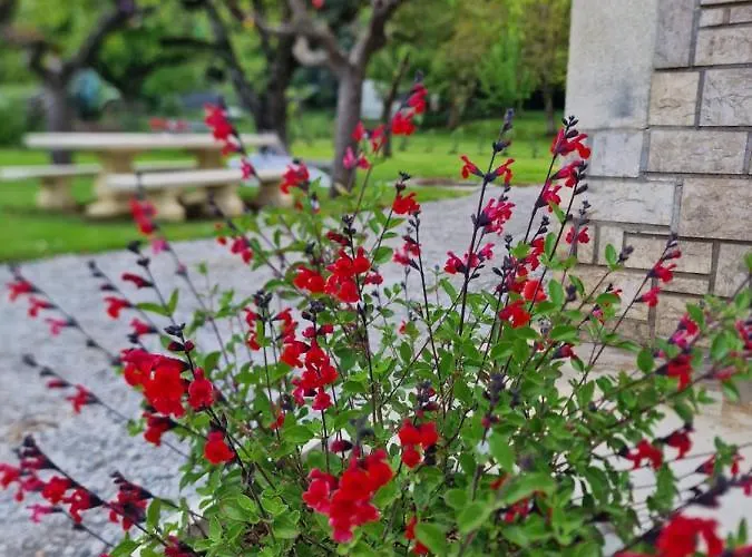 D'hotes O Rendez-vous Bed & Breakfast